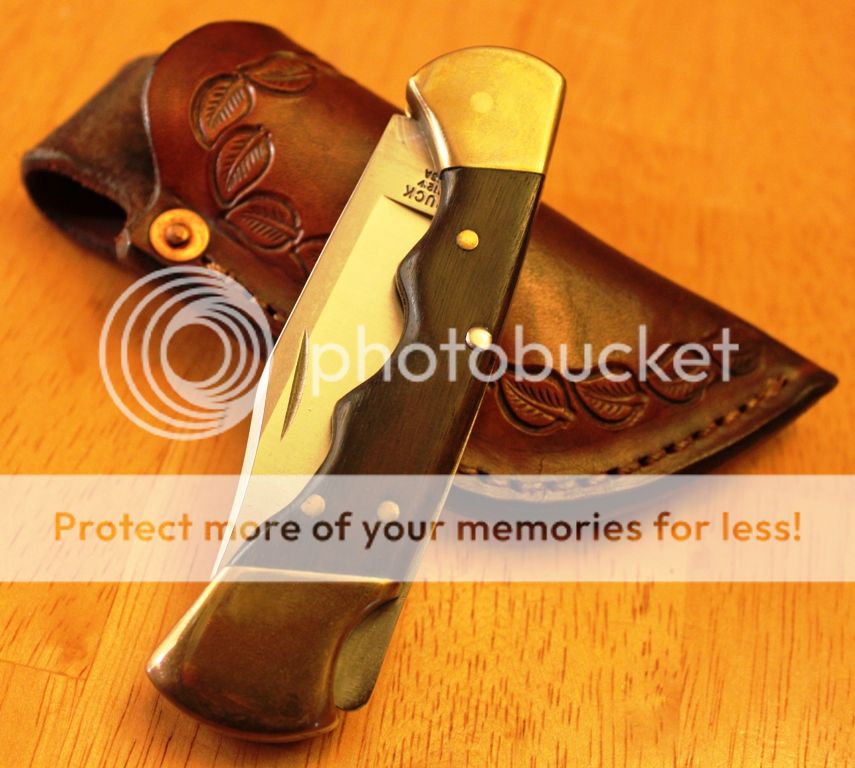 IMG_5410_zps54d675d9.jpg