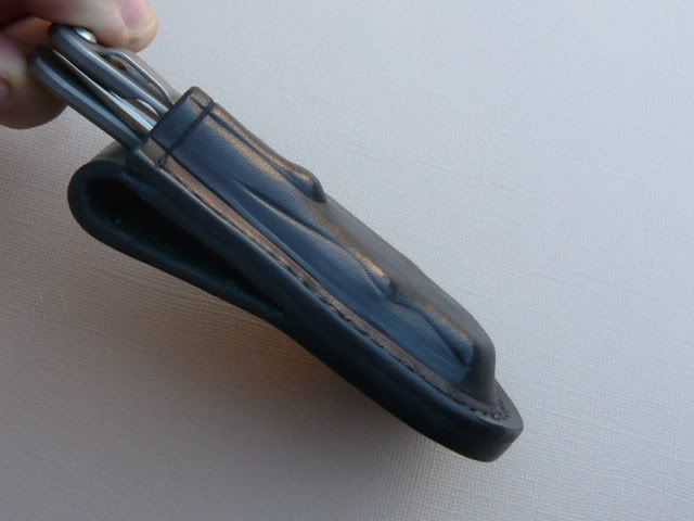 blacksebenzasheath005.jpg