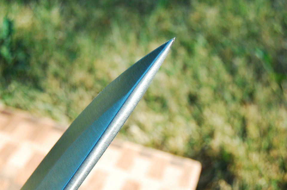 DSC_3238.JPG