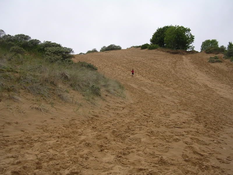 DSCN2156.jpg