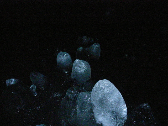 2009.07.04.R0018846.JPG