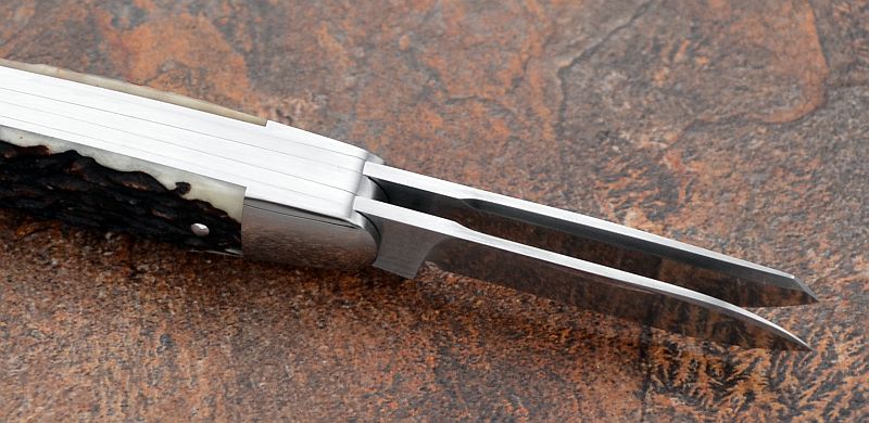 tbose-458staganglosaxonwhittler1-5.jpg