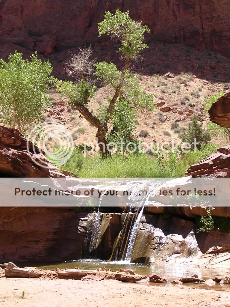DSCN0163.jpg