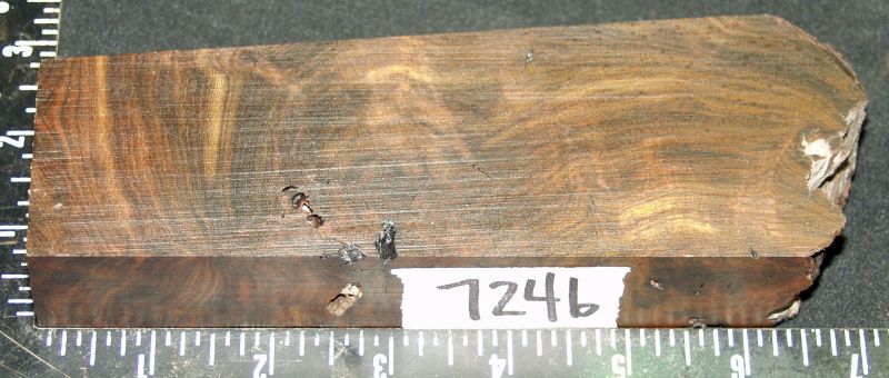 7246a.jpg