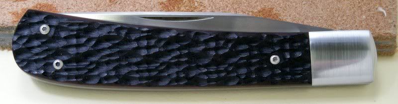 DSCN1572.jpg