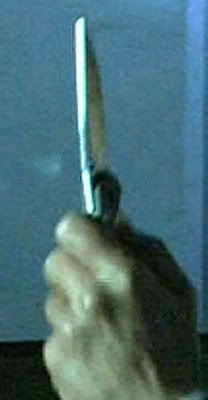cap001.jpg