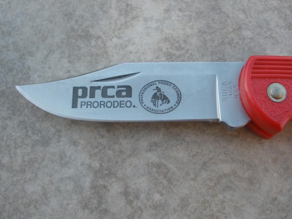 PB072047.jpg