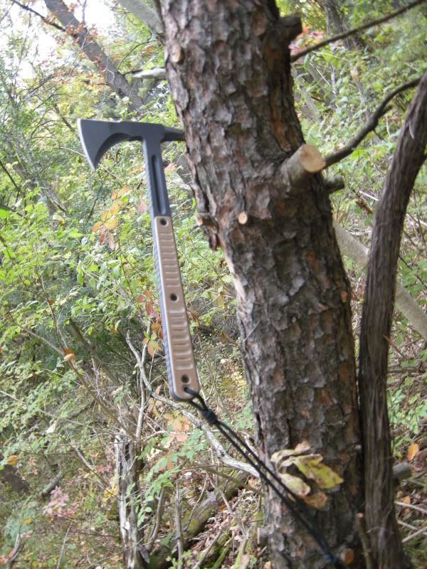 DSCN3758.jpg