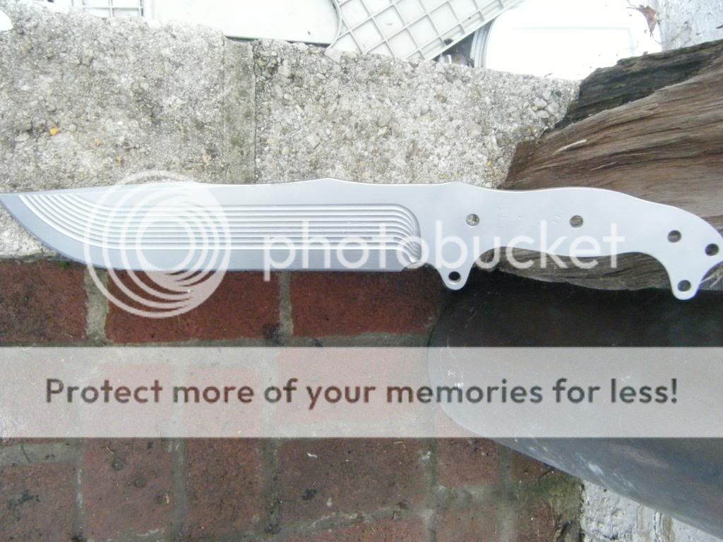 DSCF1180.jpg