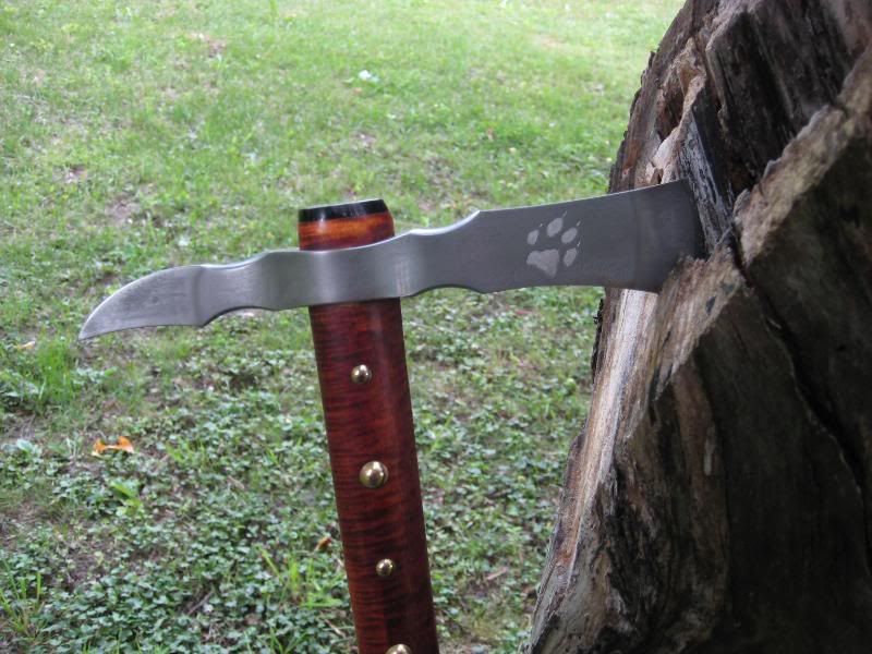JNeilsonhawk002.jpg