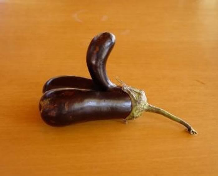 sexualnature04.jpg
