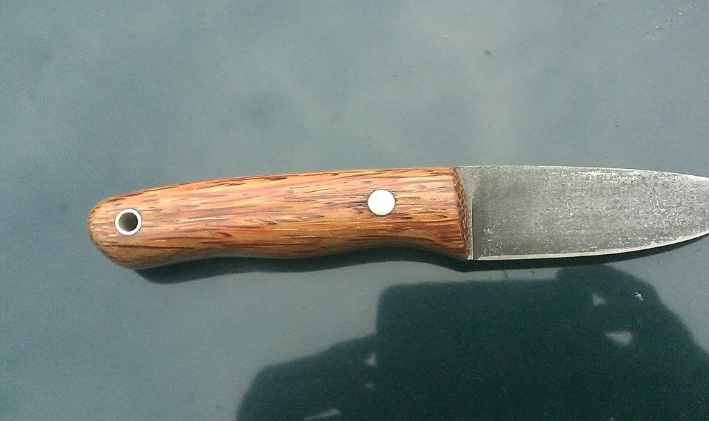 IMAG0262.jpg