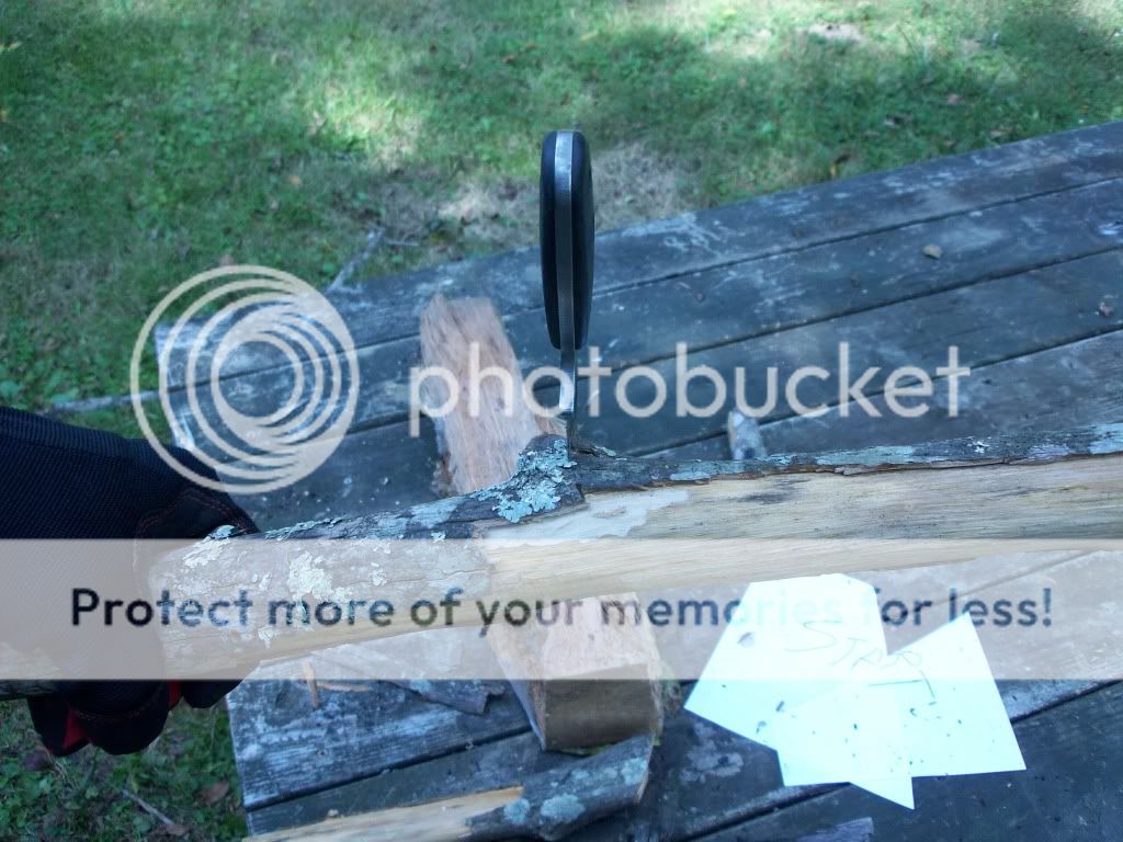 100_3220.jpg