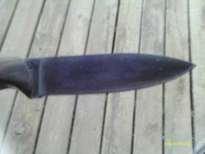 IMAG0678.JPG