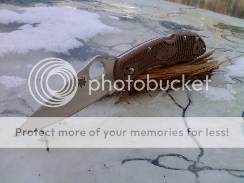 2010-12-10145348.jpg