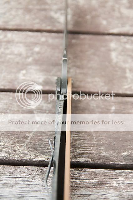 mrbushar_2012_00006.jpg