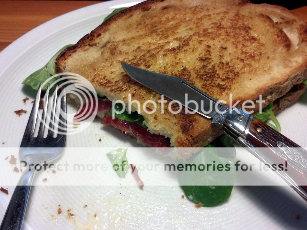 Sandwich_small_zps2c93d917.jpg