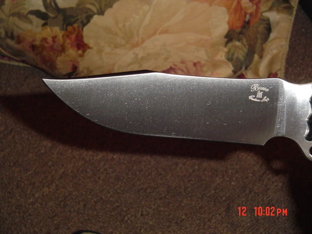 DSC03397.jpg