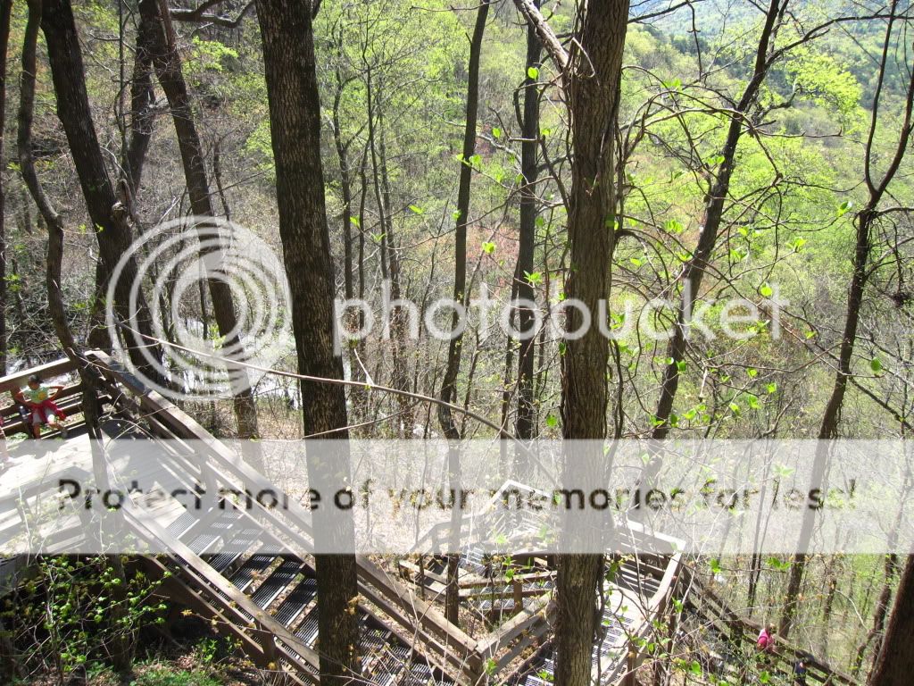 IMG_0916.jpg