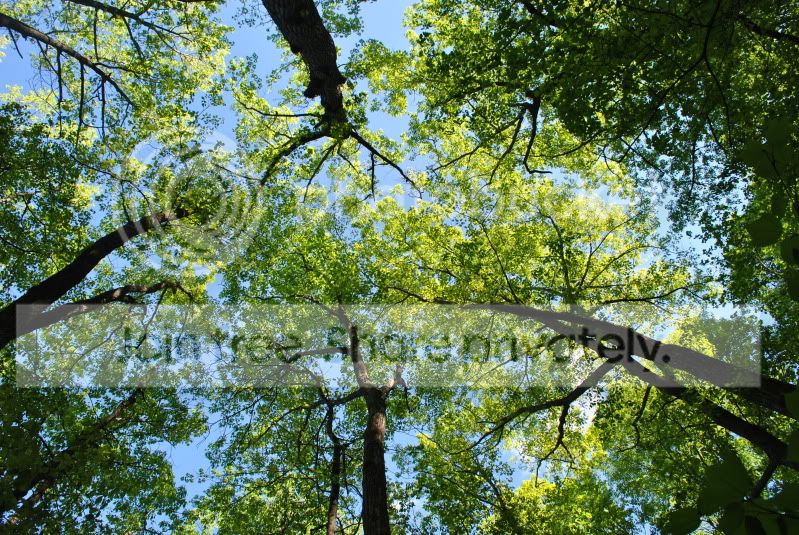 DSC_0817.jpg