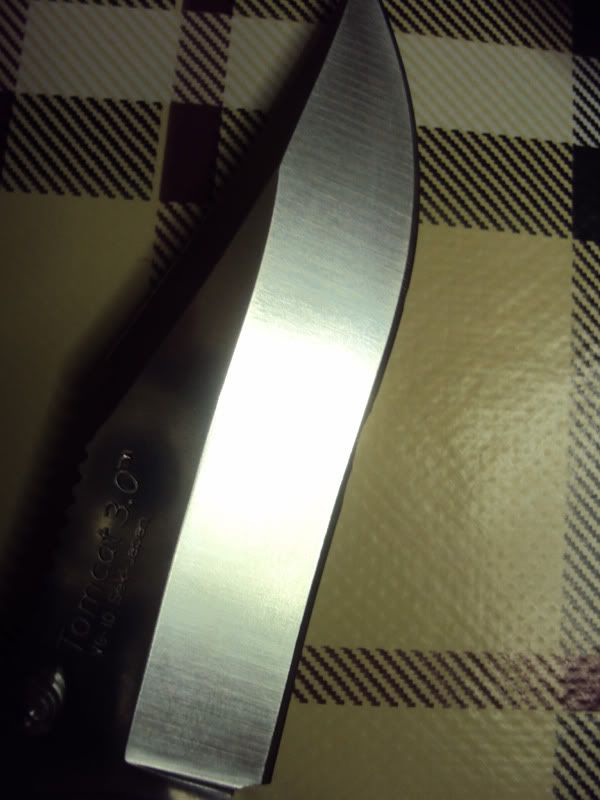 DSC00960_klein.jpg