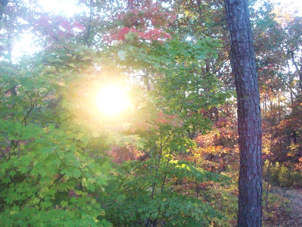 8135888616_a2ccbe4b00_b.jpg