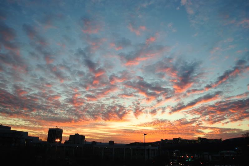 DSC_9395.jpg