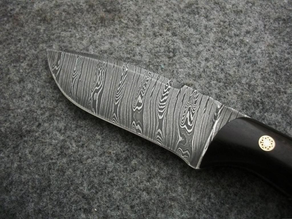 GFLEET019.jpg