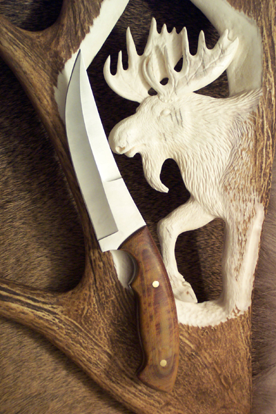 Moose2.jpg