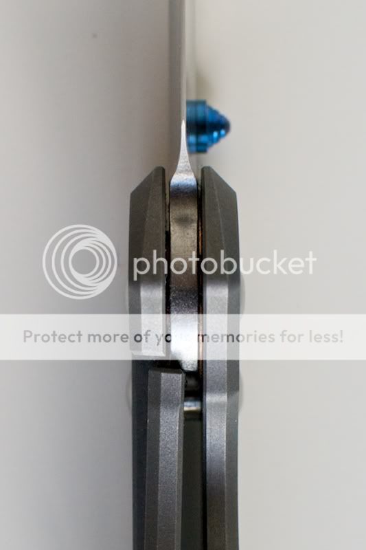LargeSebenza216.jpg