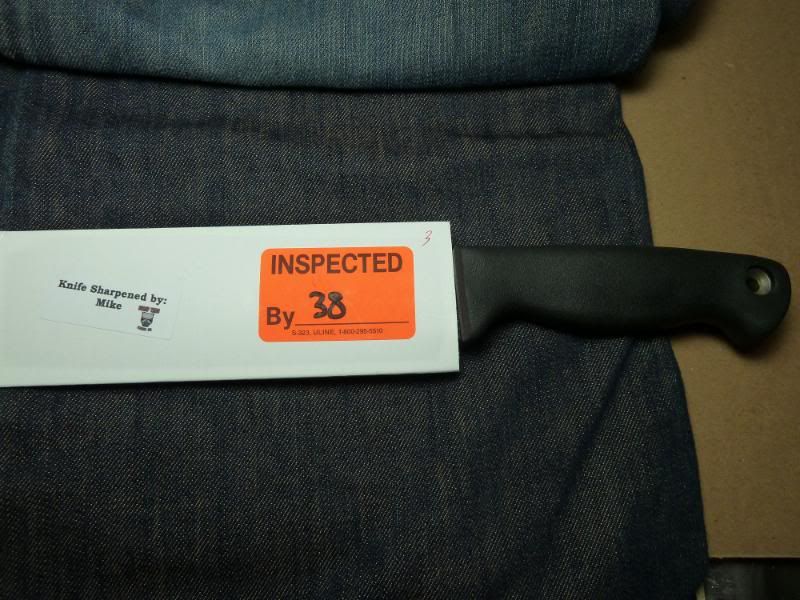 20821195.jpg