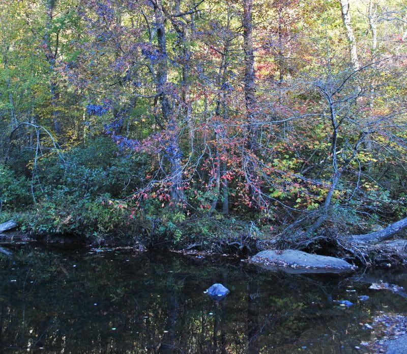 DSC_7875.jpg