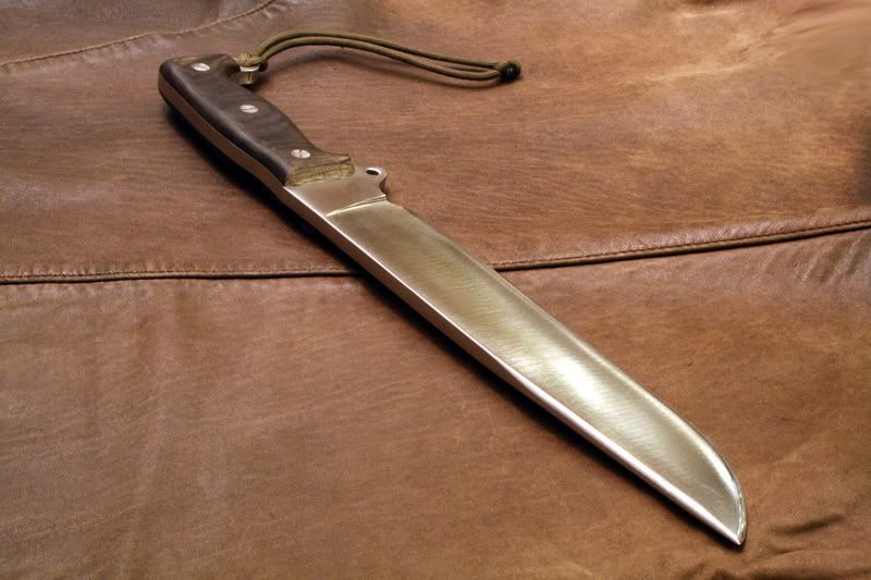 WASPSHBM1187.jpg