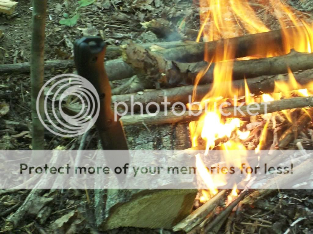 100_0155.jpg