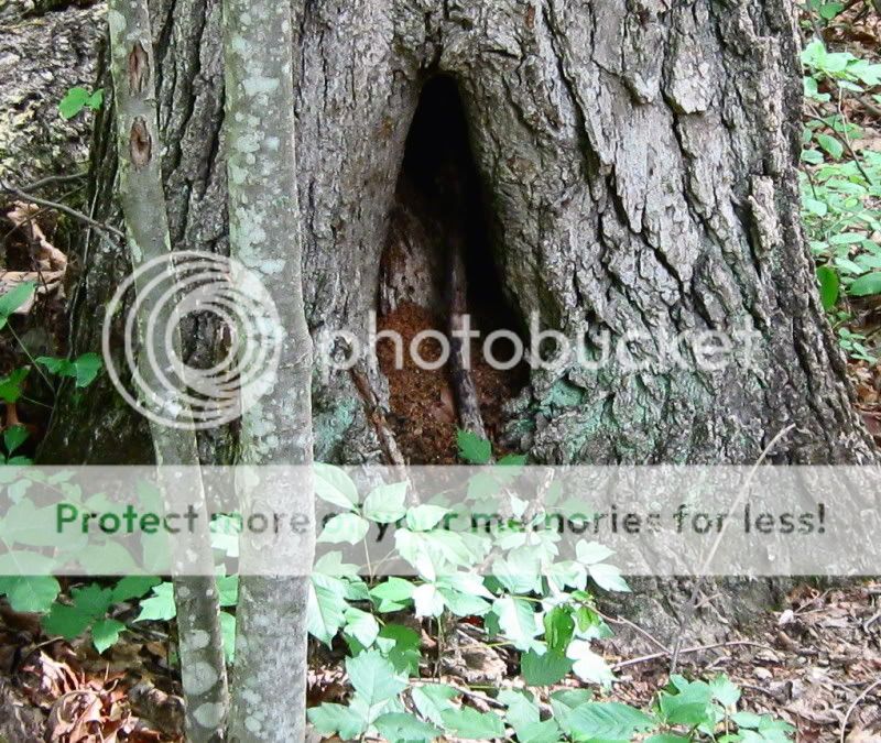 IMG_7060.jpg