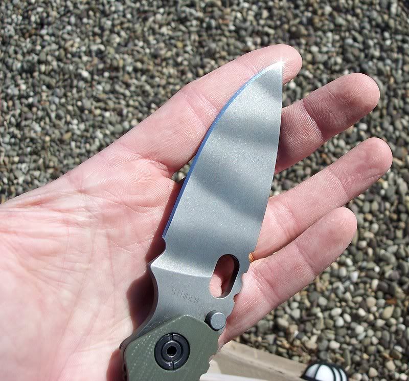 sharp.jpg