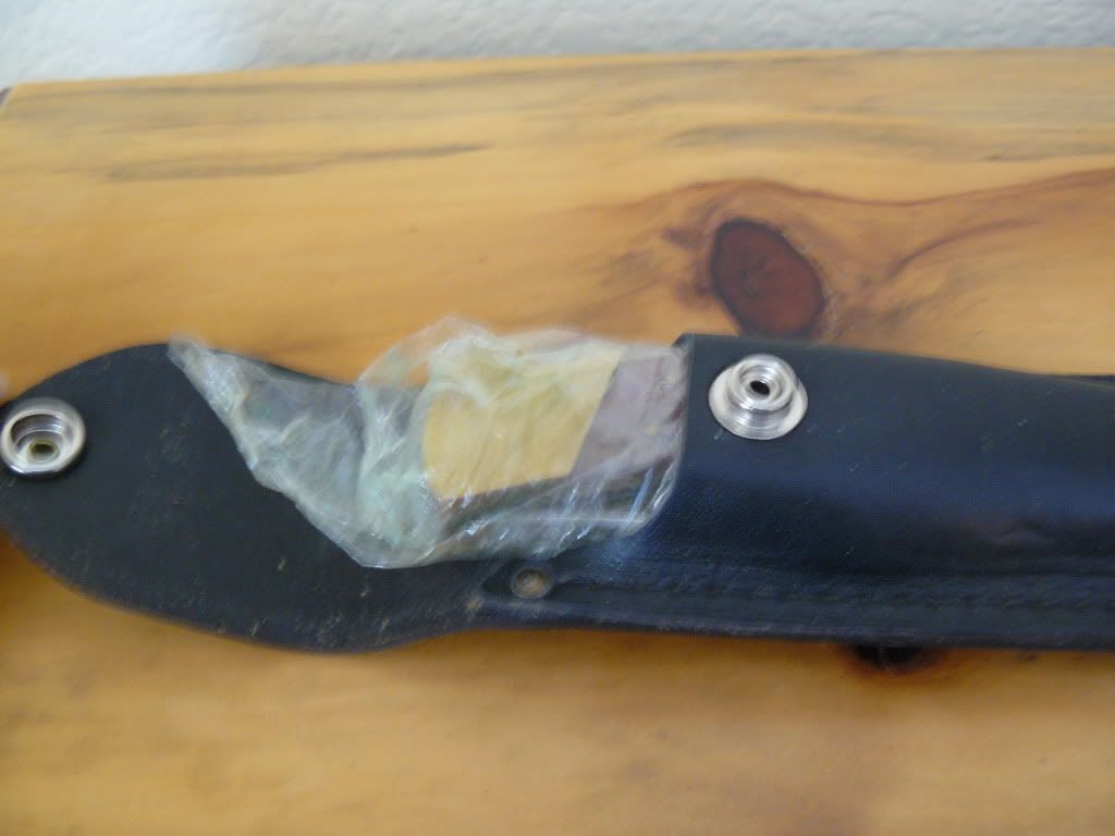 P1050256.jpg