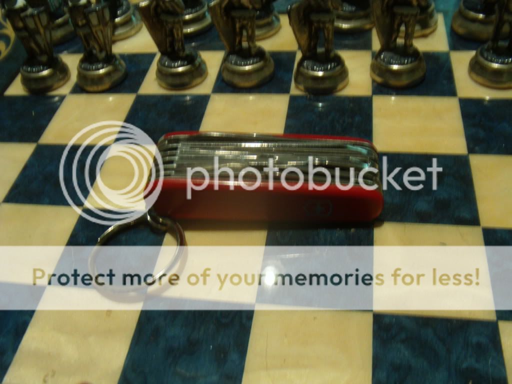 WTT008.jpg