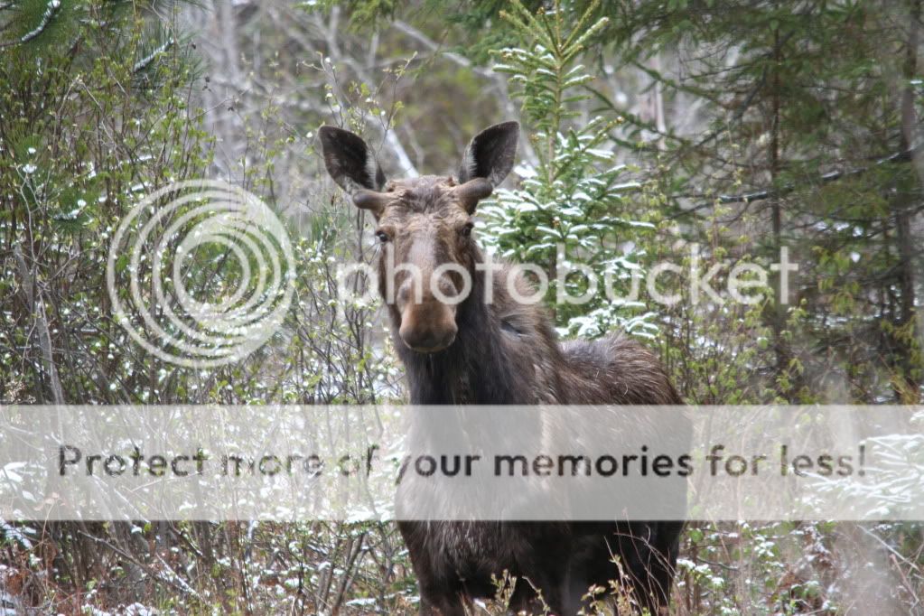 IMG_0218.jpg
