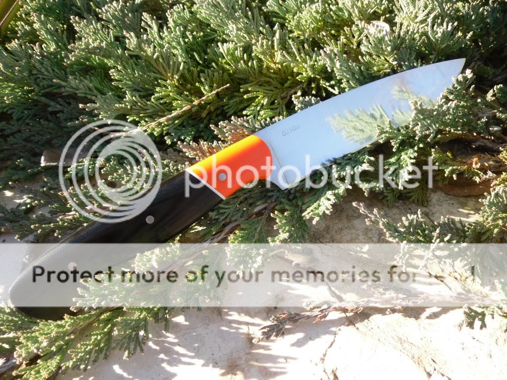 007_zpsxuu2722r.jpg