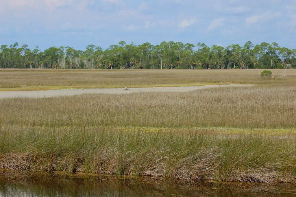 DSC_0173.jpg
