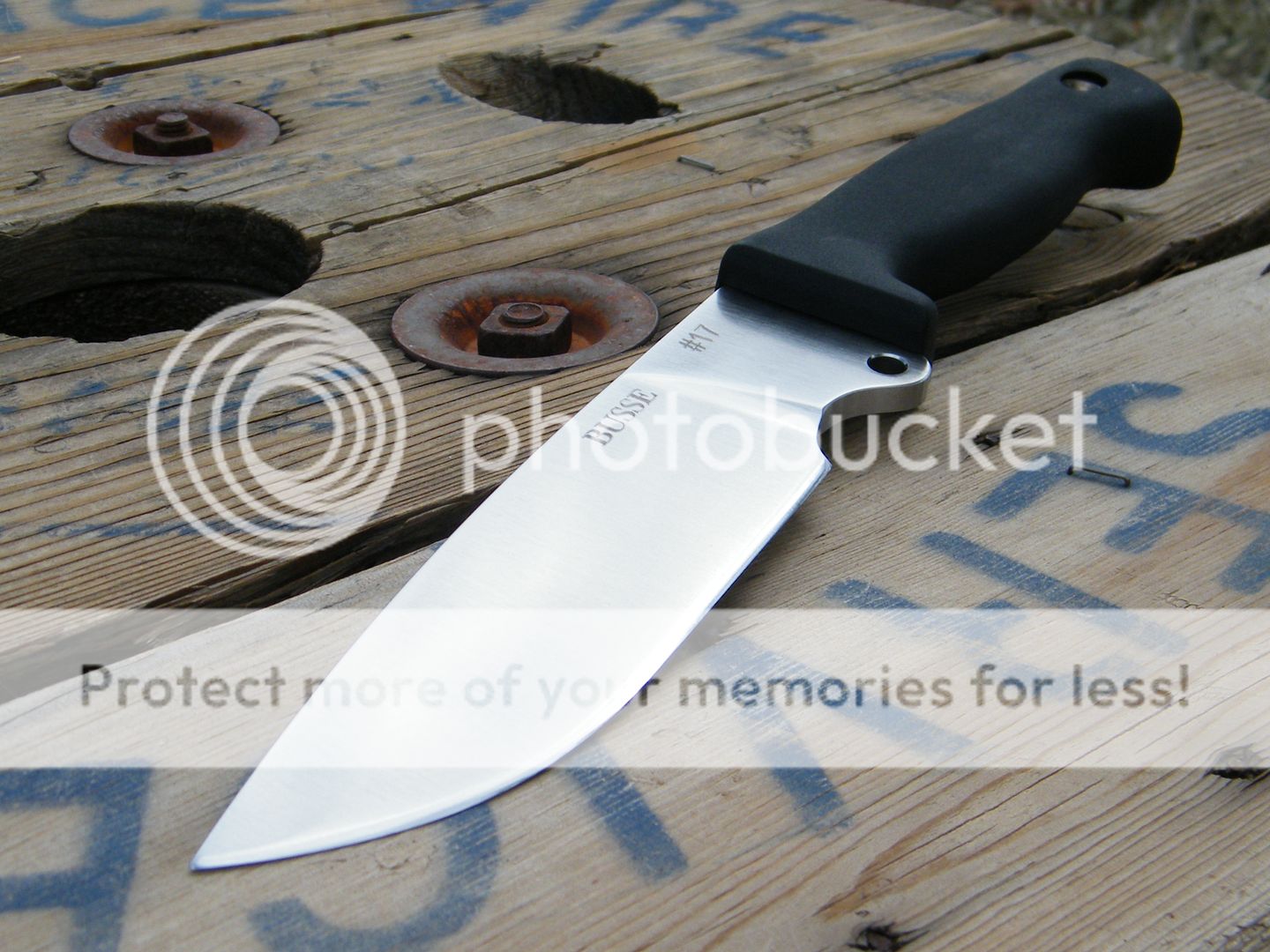 DSCF7770.jpg