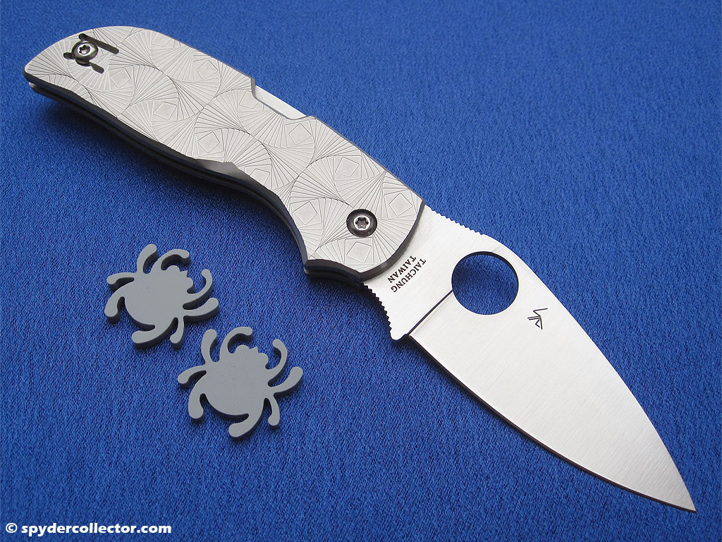chaparral_spyderco_steppedti.jpg