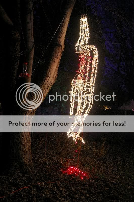 Deer.jpg