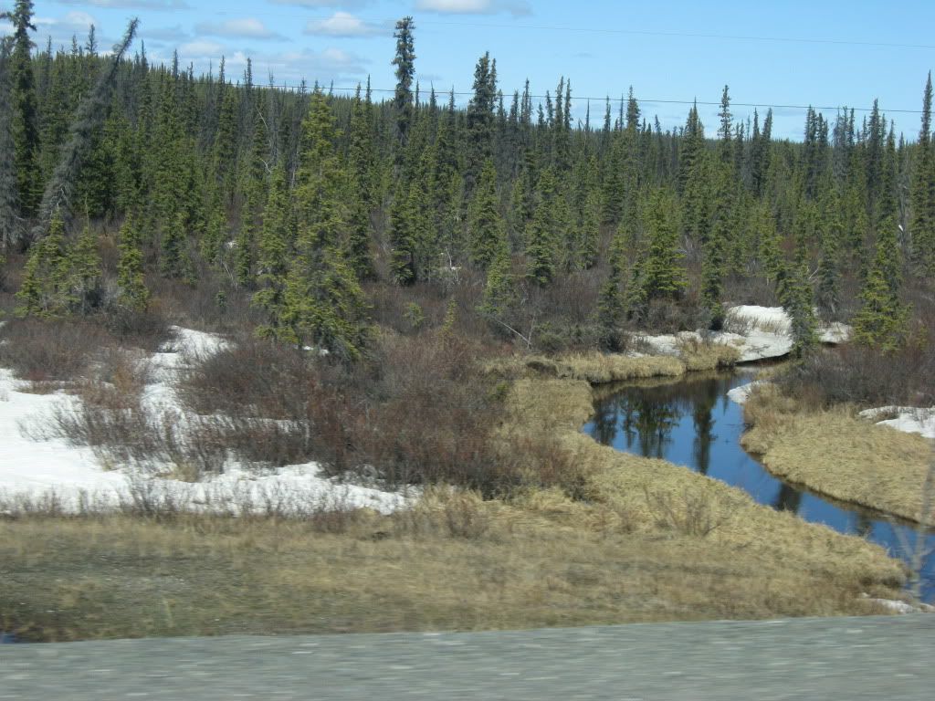 295.jpg