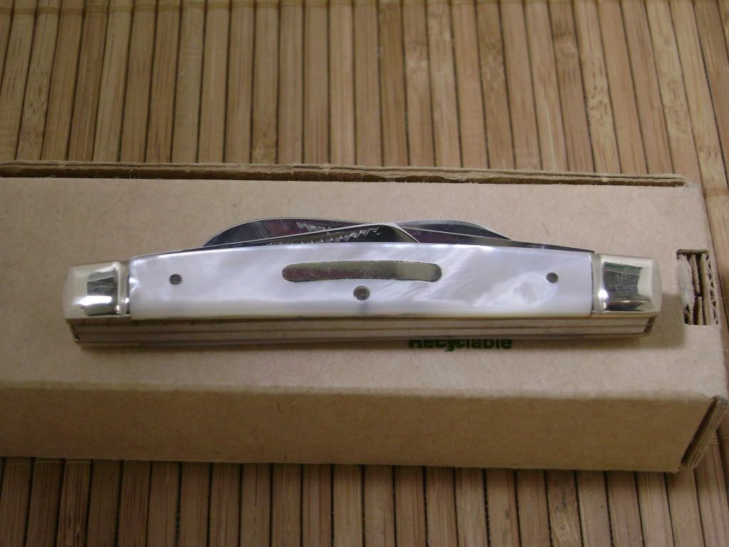 DSC01193.jpg
