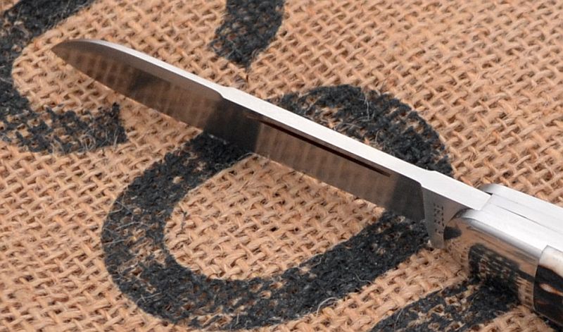 rbose-458staganglosaxonwhittler3-6.jpg