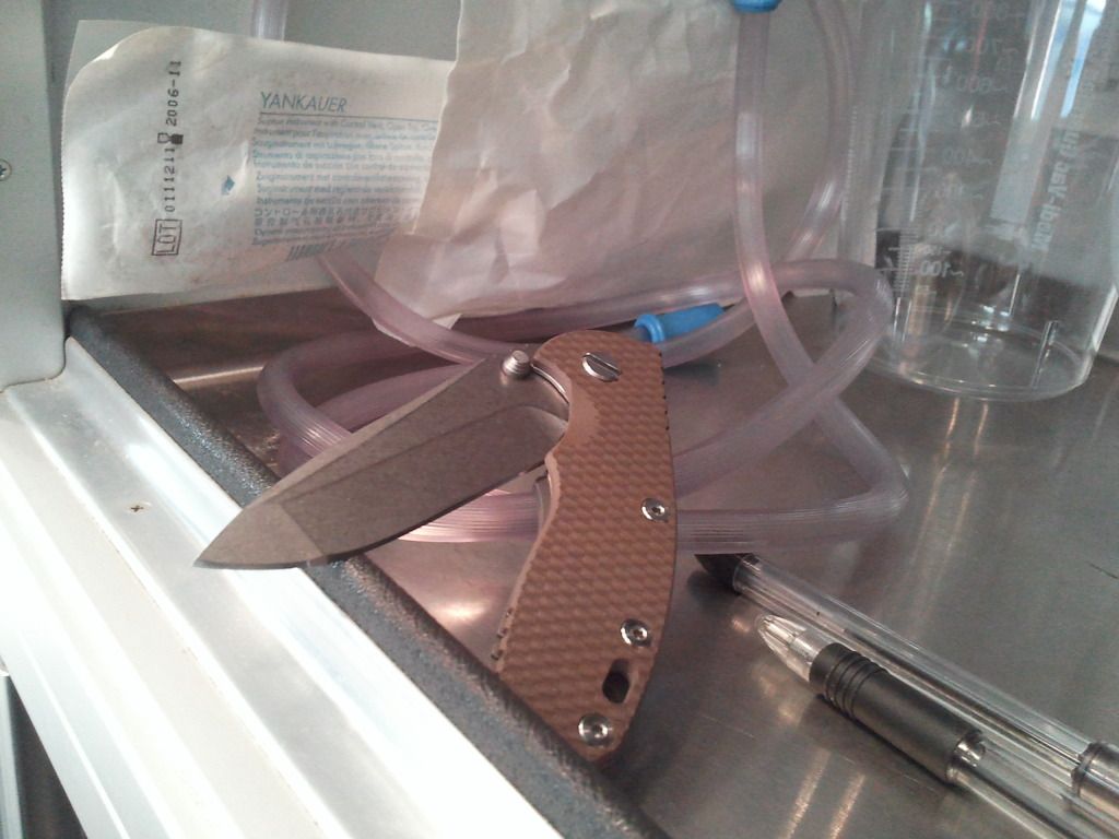 2012-10-12100829.jpg