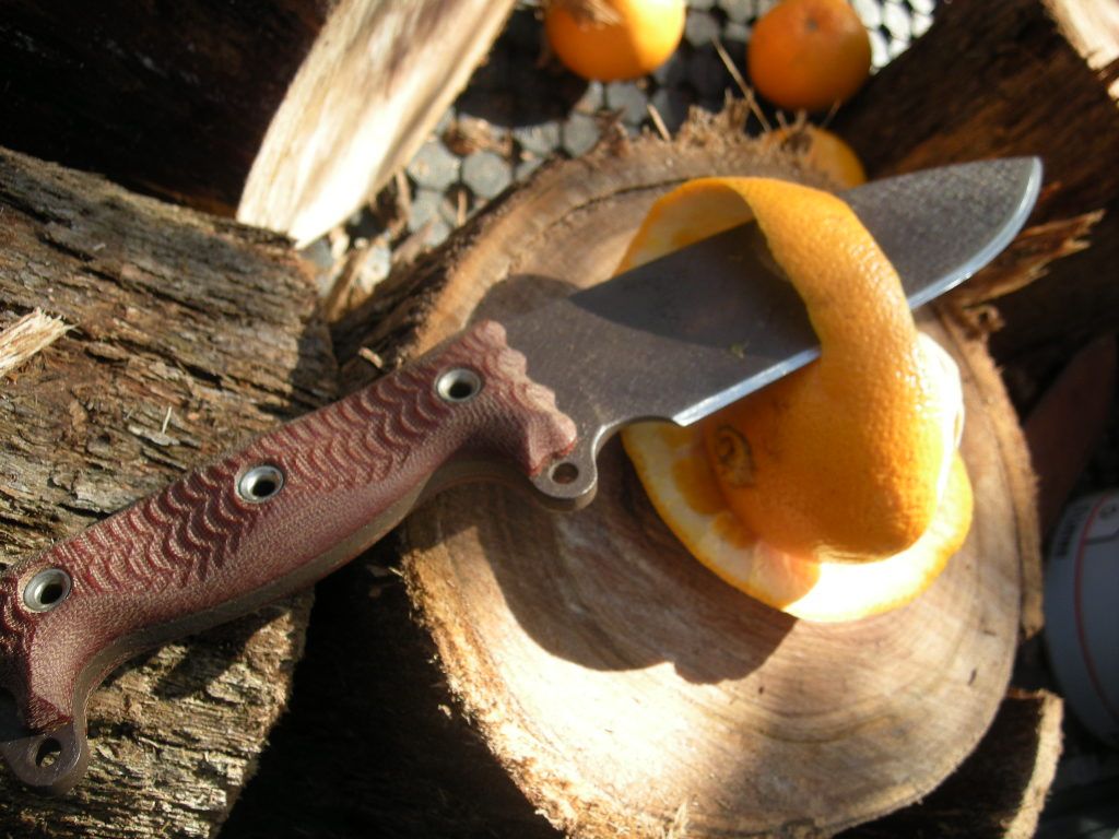 DSCN1002.jpg