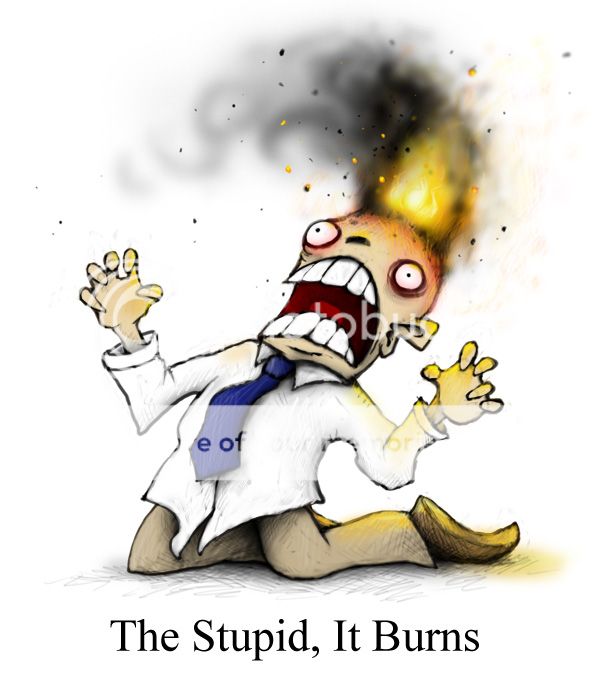 thestupiditburns.jpg
